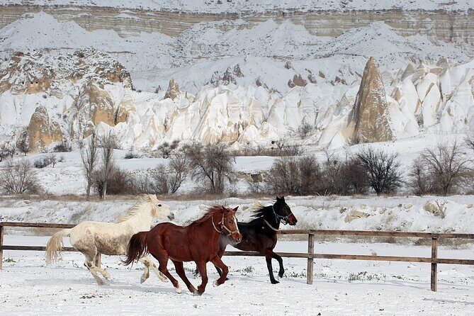Cappadocia: Fairy Chimneys Horseback Riding Adventure - Key Points