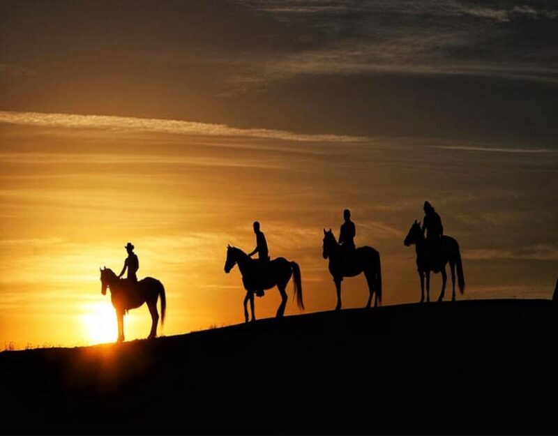 Cappadocia: Fascinating Horse Riding Tour in Unique Valleys - An In-Depth Look at the Tour