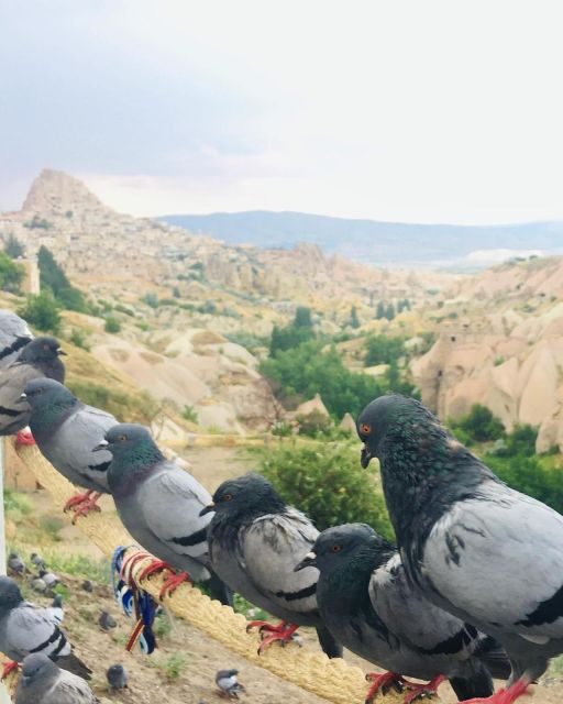 Cappadocia Green Tour - Practical Details and What to Expect
