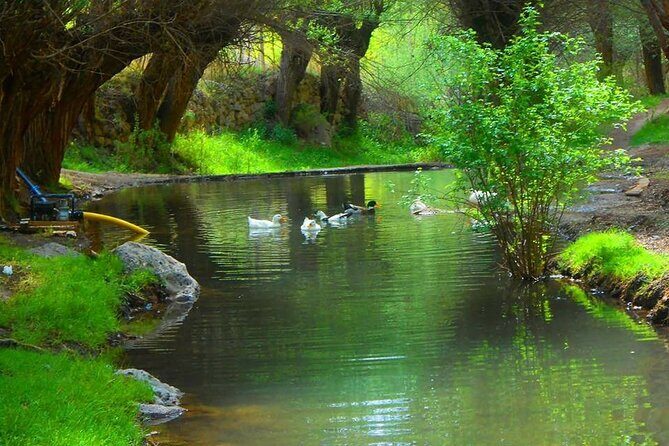 Cappadocia Guided Green Tour with Lunch & Entrance Fees - The Full Breakdown of the Cappadocia Guided Green Tour