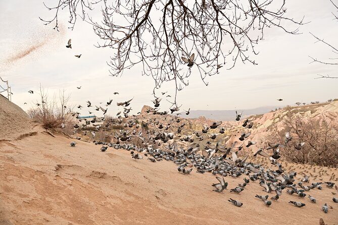 Cappadocia Highlights Tour and Underground City - FAQs