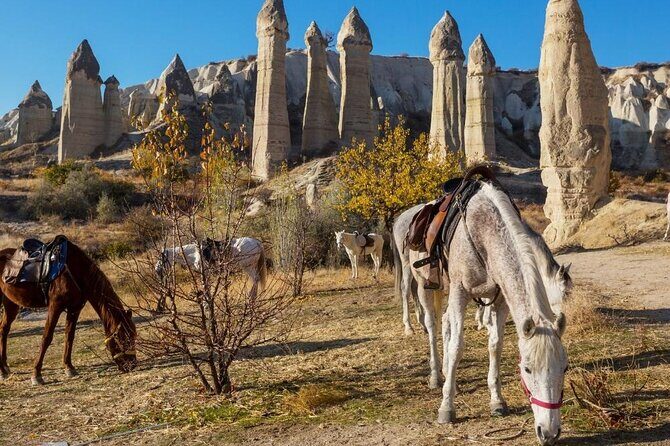 Cappadocia Horse Riding Experience Sunrise Sunset Daytime - A Deep Dive into the Experience