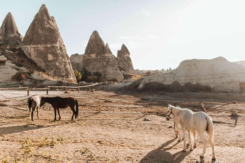 Cappadocia: Horse Riding Tour with Hotel Transfer - What to Expect on the Horseback Ride
