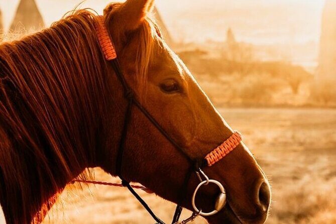 Cappadocia Horseback Riding Tour (Transfer Included) - An Overview of the Experience