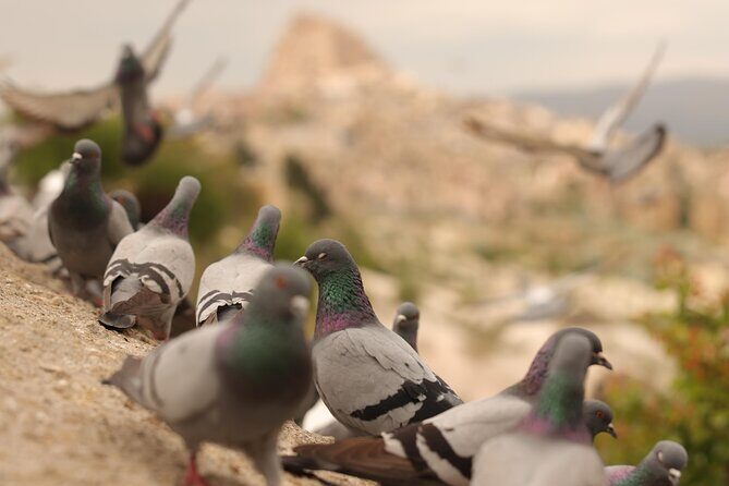 Cappadocia Private Guided Tour(Car&Licensed Guide) - An In-Depth Look at the Tour
