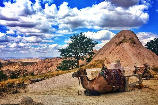 Cappadocia Red Tour (Pro Guide, Tickets, Lunch, Transfer incl) - Uchisar Castle: The Highest Point in Cappadocia