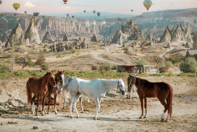 Cappadocia: Sunset Horseback-Riding Tour - FAQs