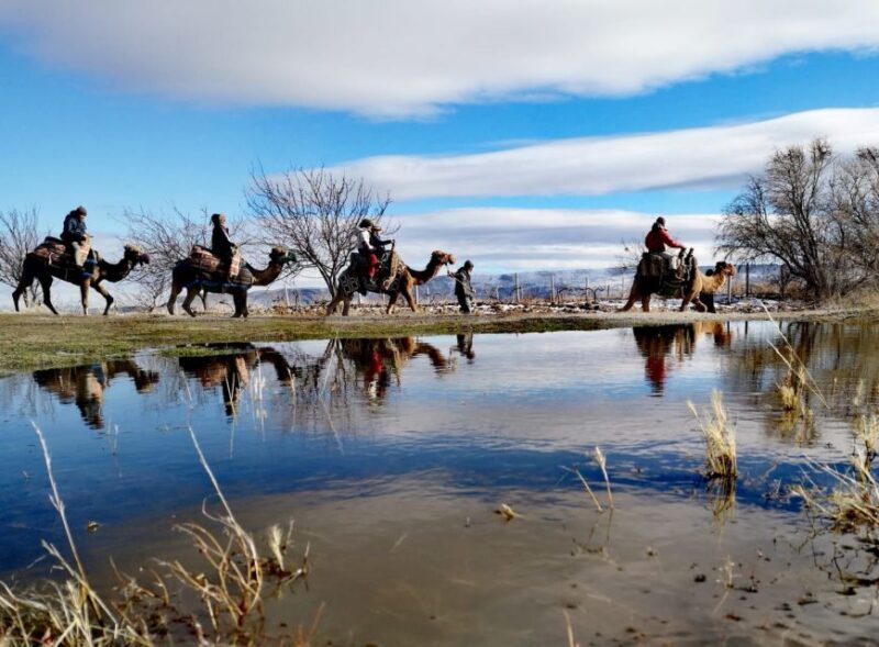Cappadocia: Valleys Highlights Camel Tour with Hotel Pickup - Key Points