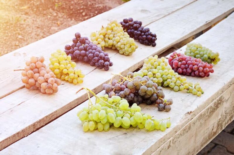 Cappadocia Wine Tasting Experience - Who Should Consider This Tour?