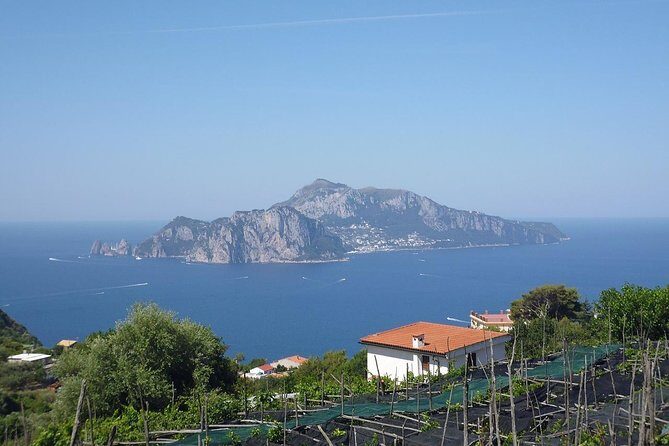 Capri, Blue Grotto, Sorrento and Pompeii from Positano or Amalfi - Final Thoughts