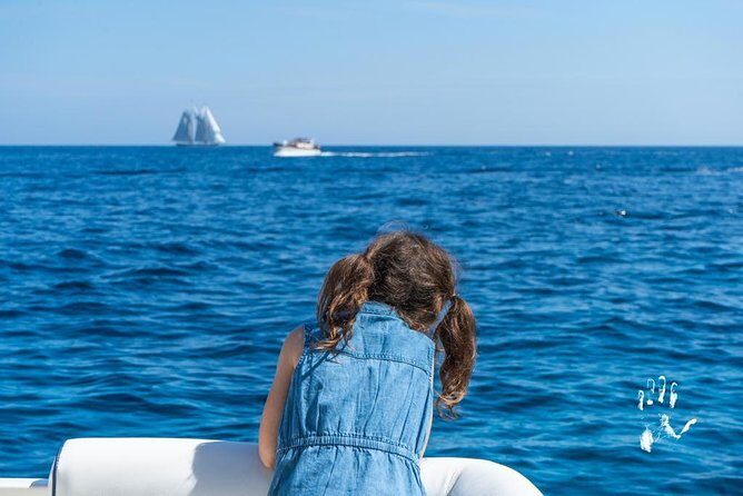 Capri excursion shared from Sorrento - Who Should Consider This Tour?