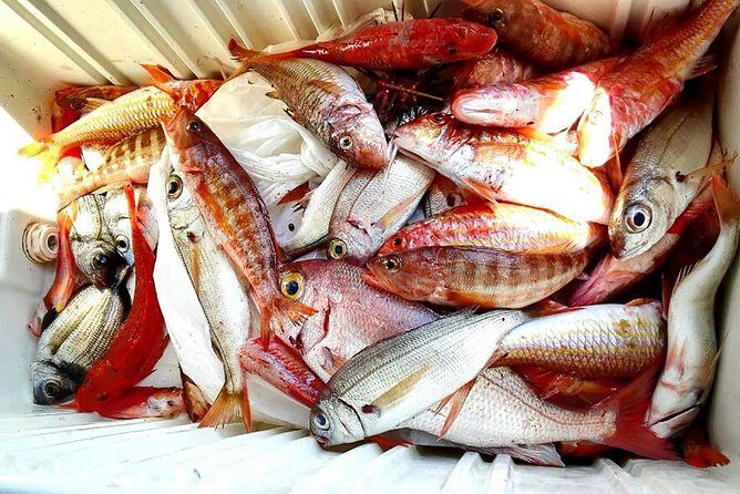 Capri Fishing Excursion with Snorkeling and Lunch from Sorrento - The Onboard Lunch: Fresh, Flavourful, and Organic