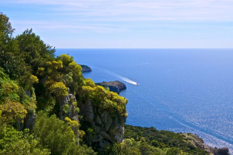 Capri: Guided Island Highlights Boat Tour - Key Points