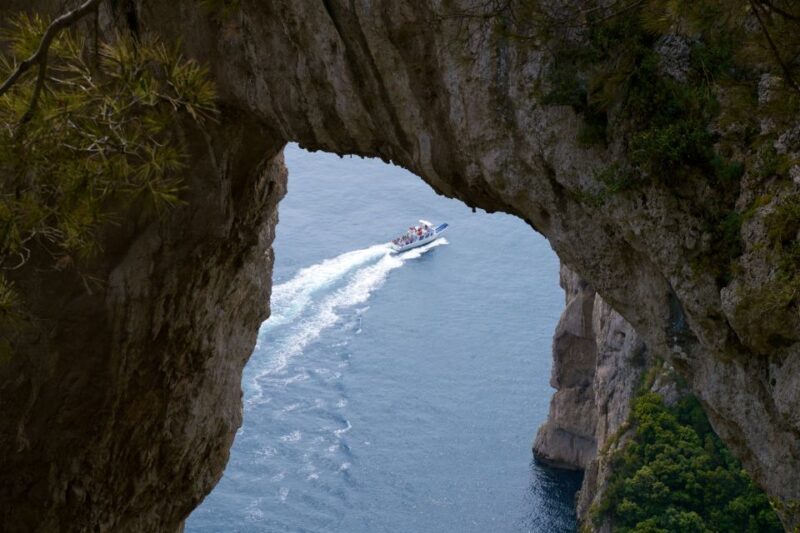 Capri: Guided Island Highlights Boat Tour - The Guide and the Experience