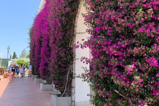 Capri Island and Blue Grotto Small Group Day Tour from Capri Port - Frequently Asked Questions (FAQs)