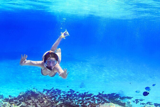 Capri Island Boat Tour from Amalfi with Snorkeling | Small Group - The Experience: What to Expect from Start to Finish