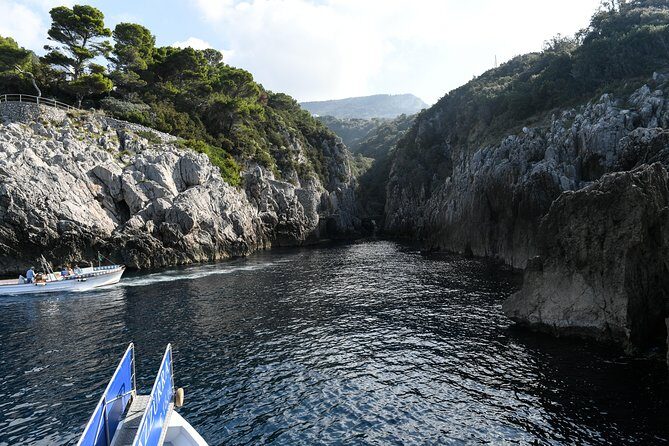 Capri One Day: Visit the Island by Sea and Land with Blue Grotto - Final Verdict