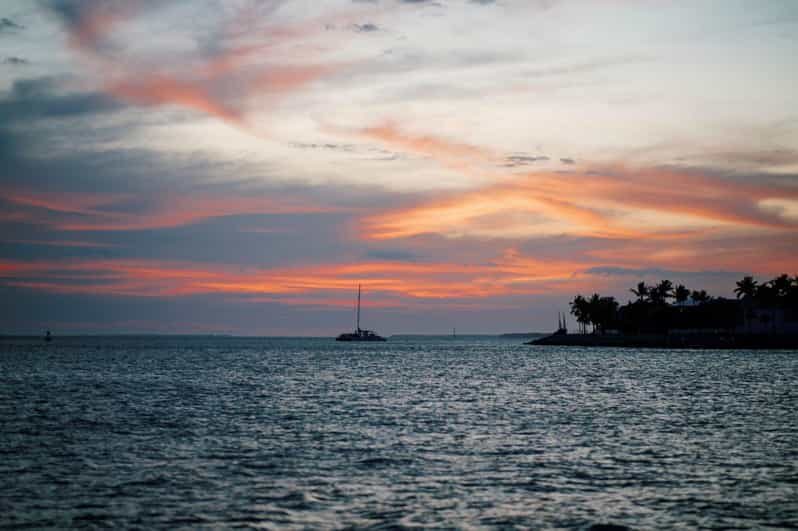 Captain's Choice: Dolphin Watch Sunset Sail - A Deep Dive into the Experience