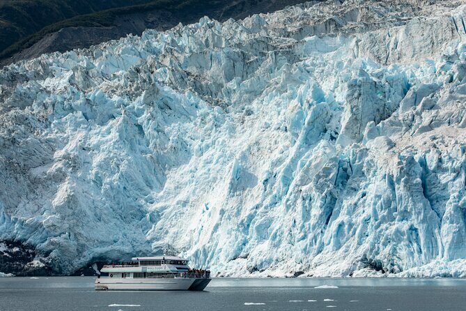 Captain's Choice Kenai Fjords National Park Tour from Seward - A Deep Dive Into the Experience