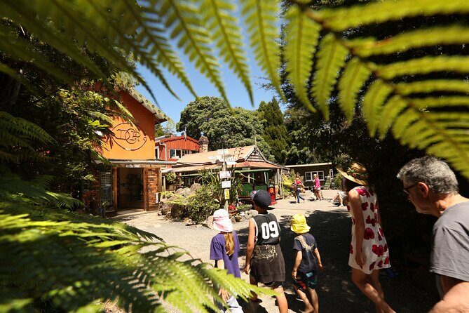 Captivating Railway Journey in Coromandel - The Learning and Cultural Element