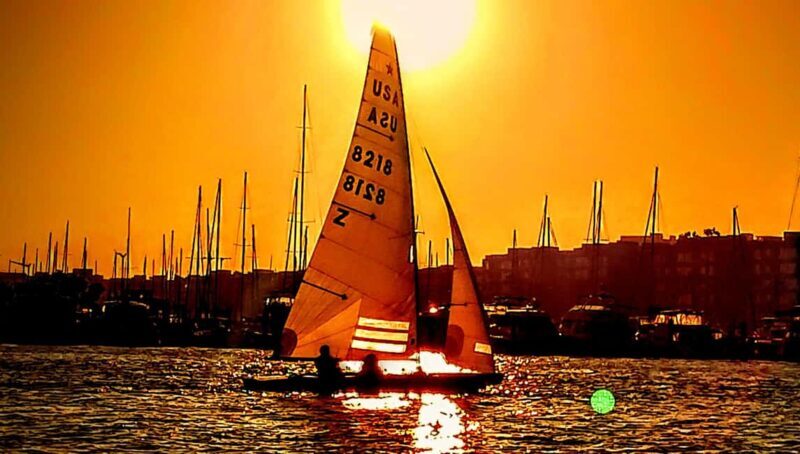 Capture LA's Coastal Magic-Wildlife, Marina Photography Tour - An In-Depth Look at the Tour Experience