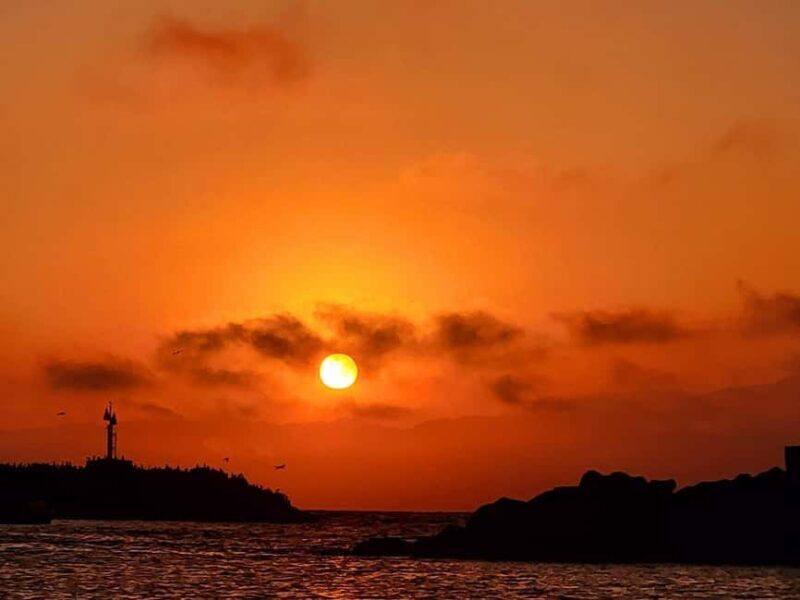 Capture LA's Coastal Magic-Wildlife, Marina Photography Tour - FAQs