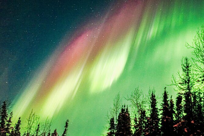 Capturing the Ethereal Beauty: Northern Lights Photo Workshop - Final Thoughts