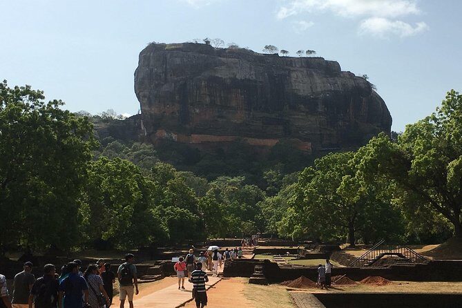 Car & Driver one week private tour in Sri Lanka 6 nights -7 days - Day 6: Tea Estates and Safari Adventures