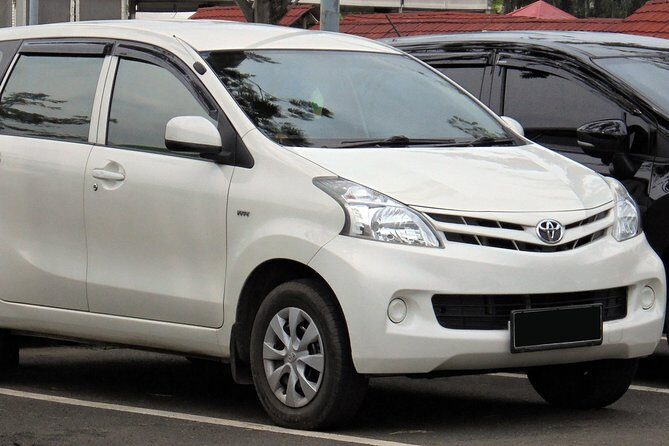 Car with Driver - An In-Depth Look at the Bali Private Driver Experience