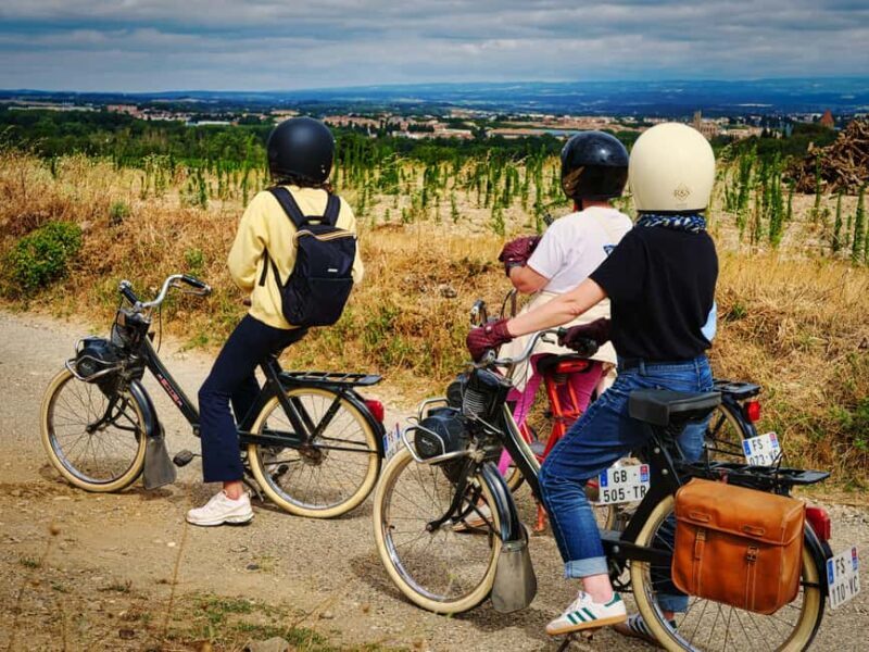 Carcassonne: Solex ride with guide and French-style brunch - Key Points