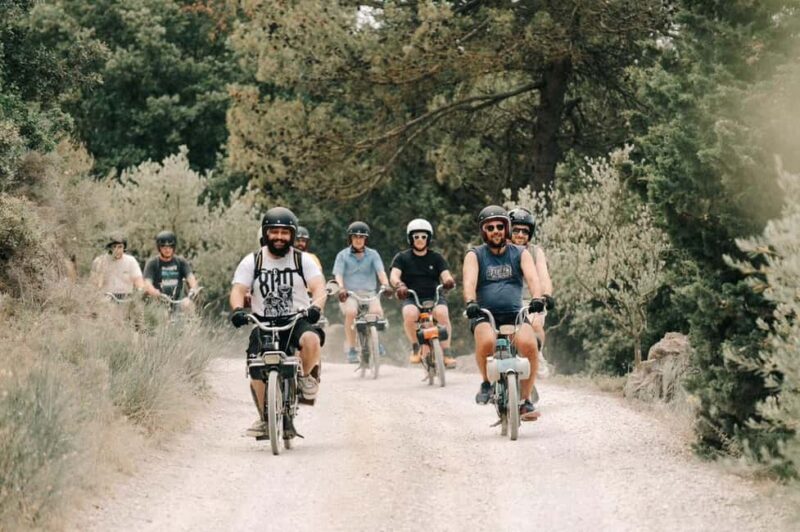 Carcassonne: Solex tour with guide and wine tasting - Key Points