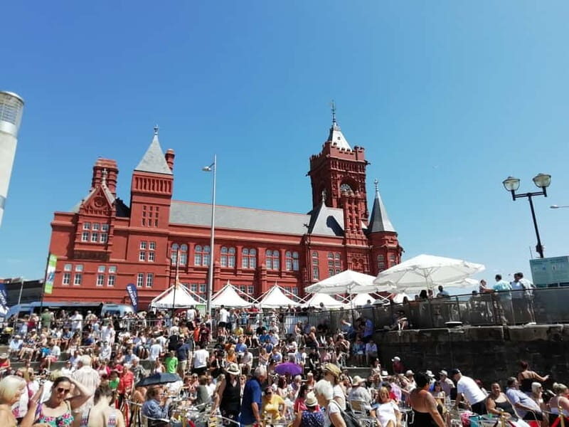 Cardiff Bay: Highlights Private Guided Tour - Who Would Love This Tour?