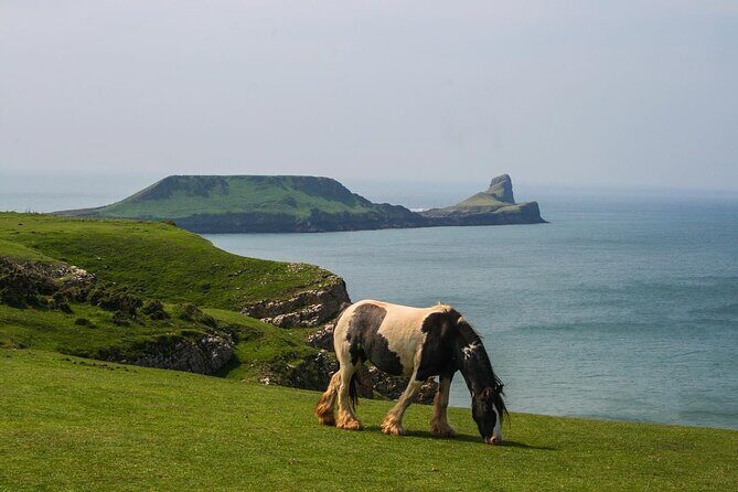 Cardiff: Gower Peninsula's Cliffs & Bays Scenic Day Tour - Introduction: Why This Tour Stands Out