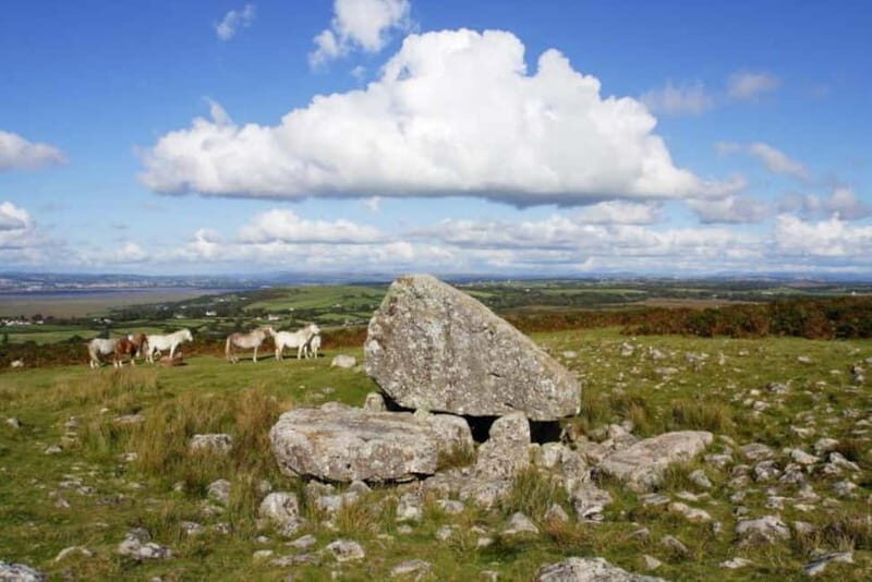 Cardiff: Private Day Tour Gower's Cliffs & Beaches - FAQ