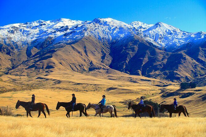 Cardrona High Country Pub Trail Horse Trek (Intermediate level+) - A Scenic Ride Into New Zealand’s High Country