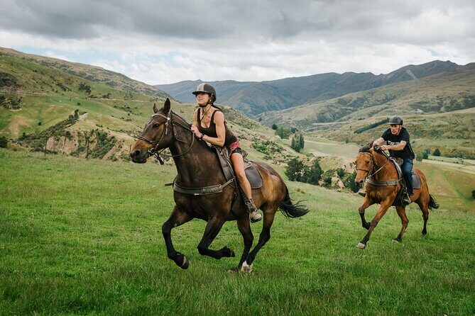 Cardrona High Country Pub Trail Horse Trek (Intermediate level+) - The Value of the Experience