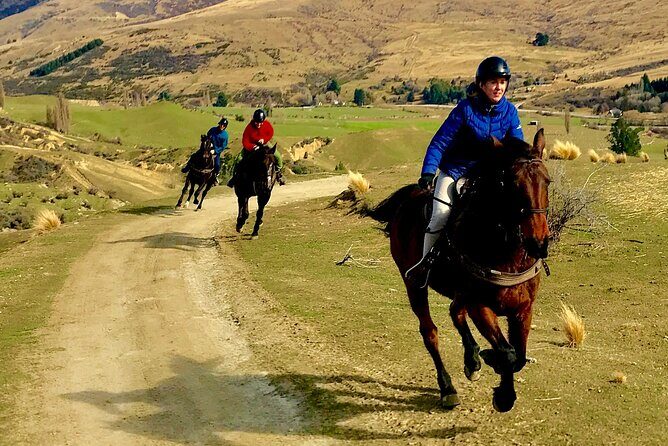 Cardrona High Country Pub Trail Horse Trek (Intermediate level+) - Practical Tips for Participants