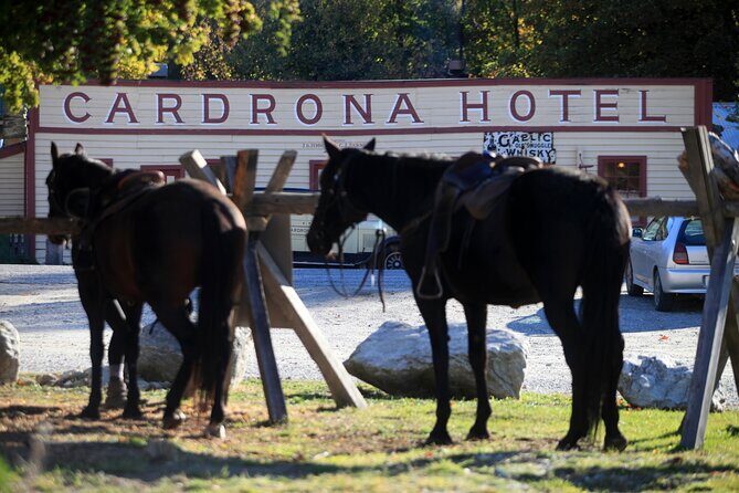 Cardrona High Country Pub Trail Horse Trek (Intermediate level+) - FAQ