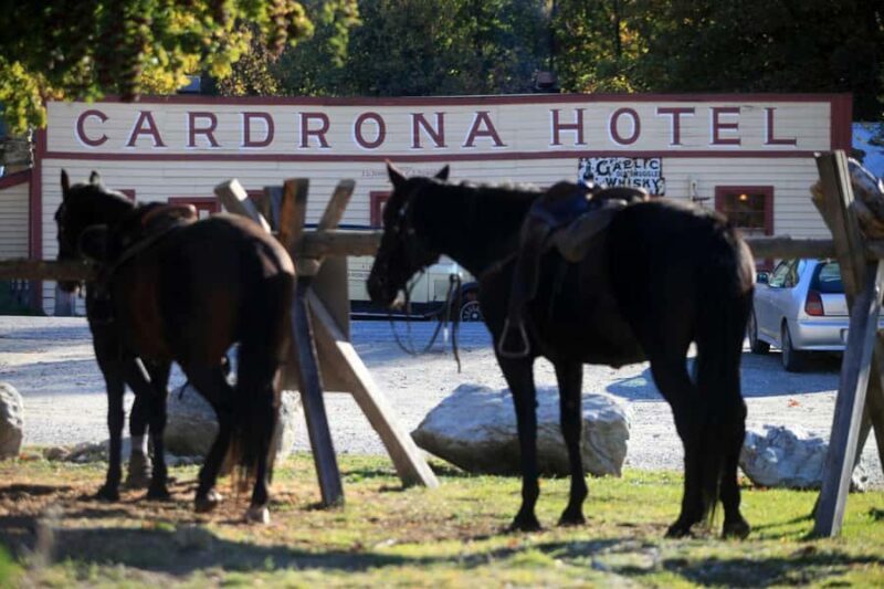 Cardrona Valley: Horse Trekking Experience - A Thorough Look at the Cardrona Horse Trekking Experience