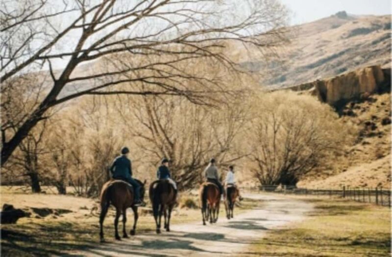 Cardrona Valley: Horse Trekking Experience - Who Will Love This Tour?