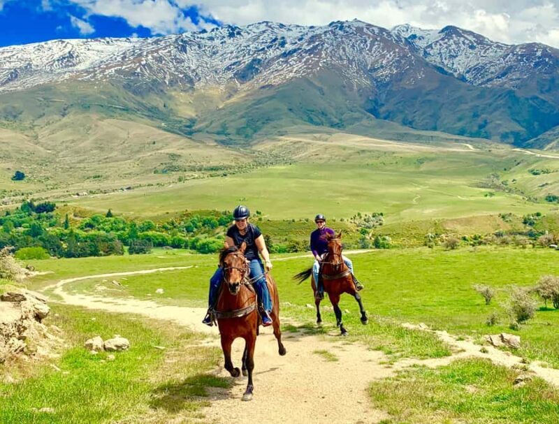 Cardrona Valley: Horse Trekking Experience - Final Thoughts: Is This Tour Worth It?