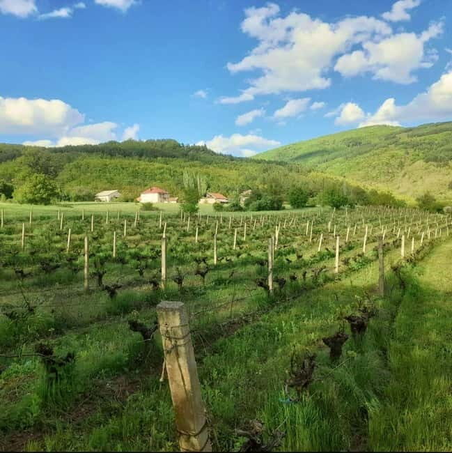 Careva Distillery: Taste Macedonian Brandies, Wines & Nature - An In-Depth Look at the Careva Distillery Experience