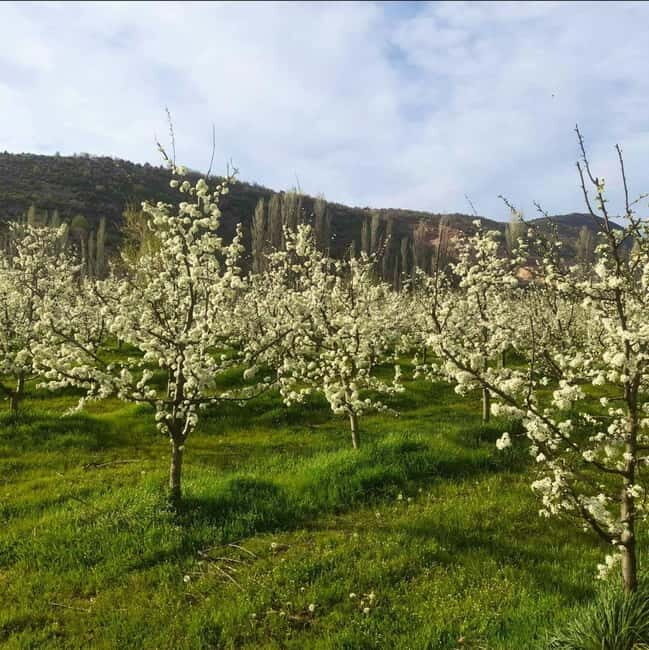 Careva Distillery: Taste Macedonian Brandies, Wines & Nature - Final Thoughts