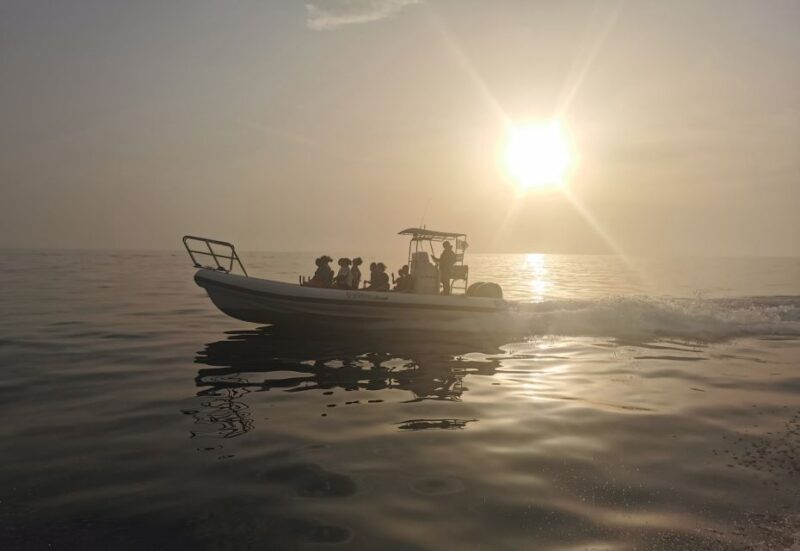 Cargèse: Calanques of Piana Capo Rosso Semi-Rigid Boat Tour - Who Will Love This Tour?