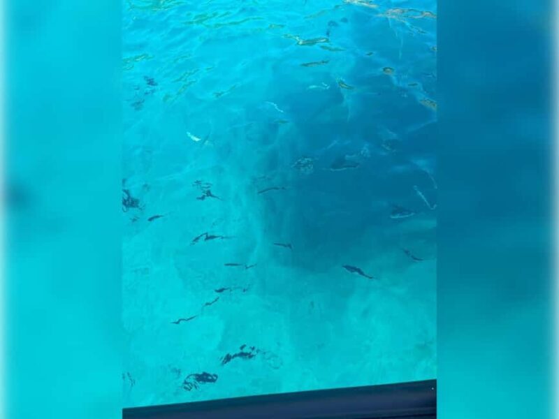 Cargèse: Capo Rosso "Snorkeling" and Sea Cave Tour - Introduction