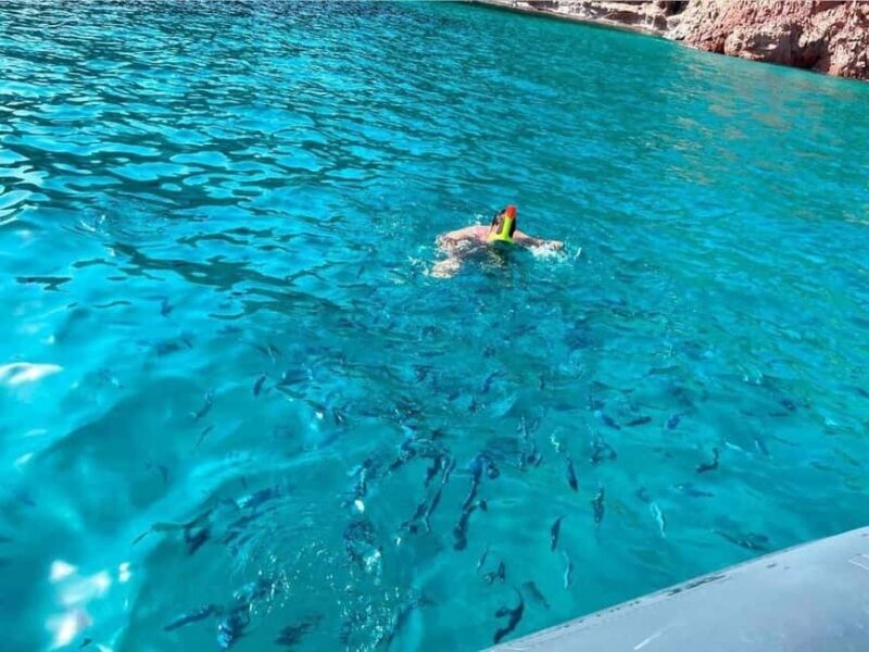 Cargèse: Capo Rosso "Snorkeling" and Sea Cave Tour - Who Should Consider This Tour?