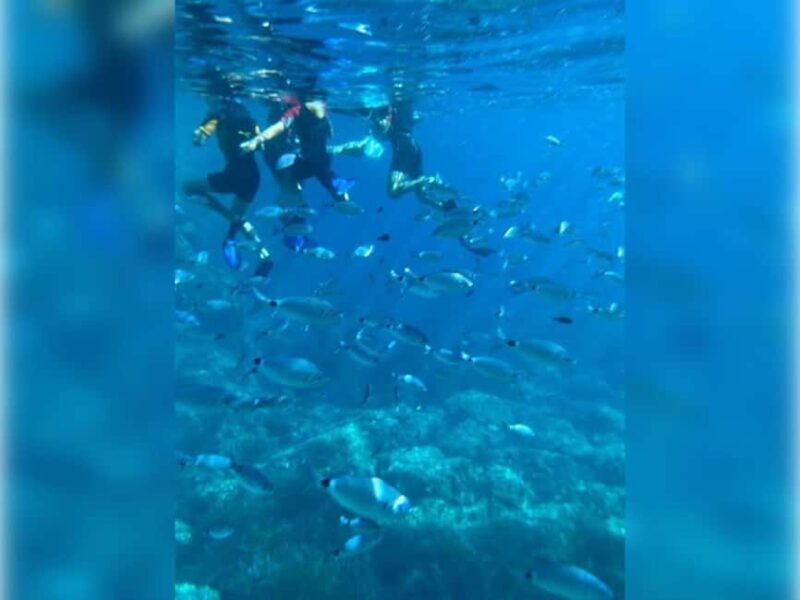 Cargèse: Capo Rosso "Snorkeling" and Sea Cave Tour - FAQ