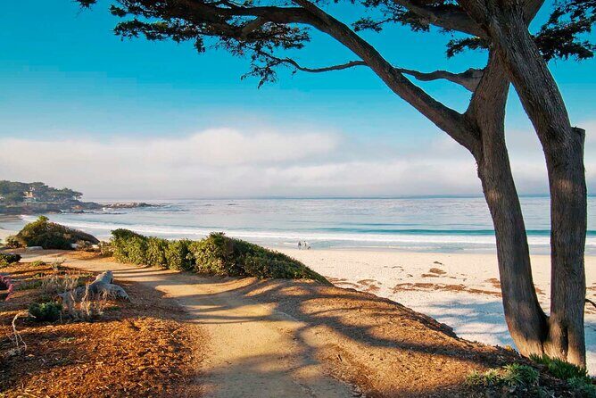 Carmel by the Sea 2-Hour Private Walking Tour - Walking Through Carmel: What the Tour Offers