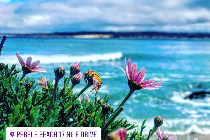 Carmel / Monterey Hwy 1 tour - Who Is This Tour Best For?