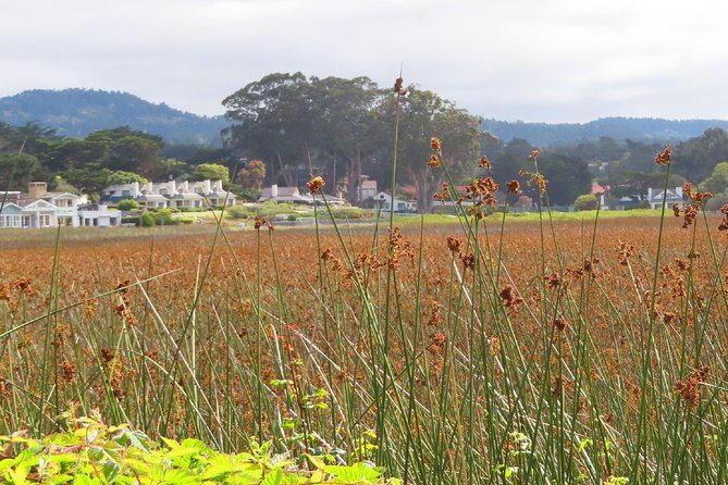 Carmel Point: A Self-Guided Audio Tour - The Sum Up